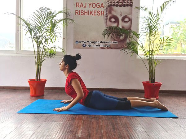 bhujangasana or cobrapose