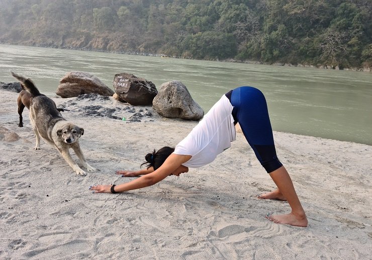 A yogi demonstrating a strong and aligned Downward-Facing Dog pose (Adho Mukha Svanasana).