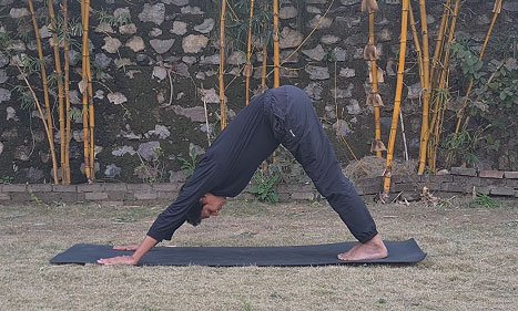 Downward-Facing Dog or Adho Mukha Svanasana