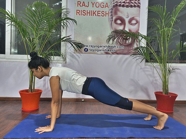 Raj Yoga : Exploring Inner Boundaries of mind - Plank exercises usually  fall under the beginner's yoga pose and have multiple benefits. For  beginners, the yoga plank pose and its variations are