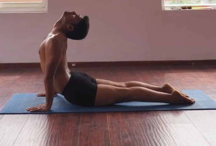 A yogi demonstrating a strong and open Upward-Facing Dog Pose (Urdhva Mukha Svanasana).