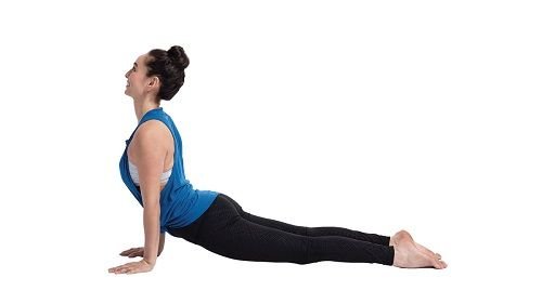 Top 10 yoga poses for beginners