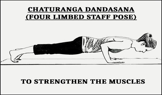 Four-Limbed Staff Pose, Chaturanga Dandasana