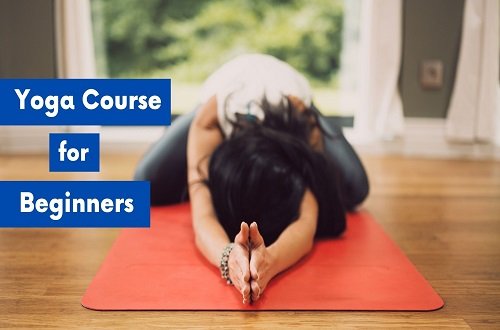 Yoga Course for Beginners