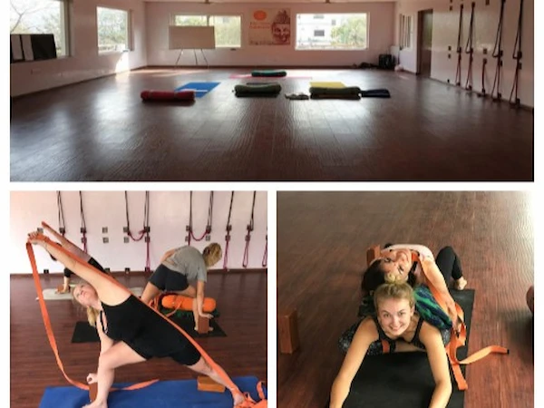 The serene yoga hall at Raj Yoga Rishikesh, a certified school in India.
